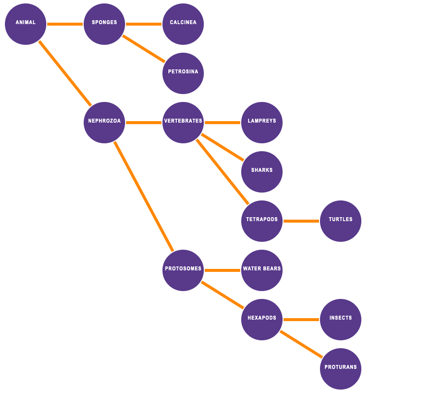 Final Tree Example